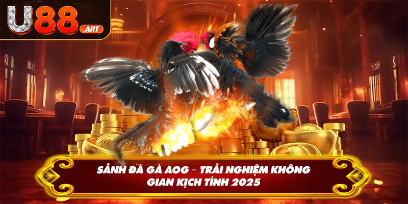 Sảnh Đá Gà AOG – Trải Nghiệm Không Gian Kịch Tính 2025